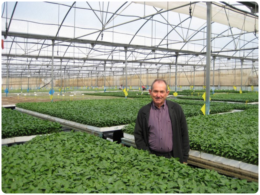 Imagen para el Quienes Somos de Semilleros Horto Plan en Motril